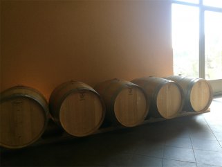 投资进口国产麻豆一区二区三区精品视频生意的前景如何