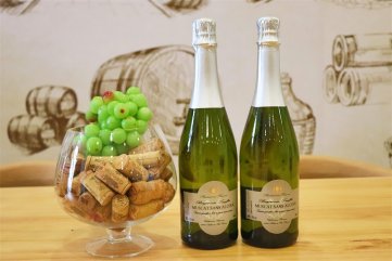 开家红酒代理国产亚州麻豆精品AA在线观看店有什么要求